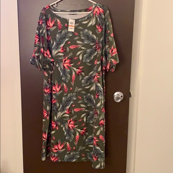 floral print plus size dress